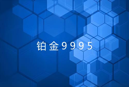 铂金9995