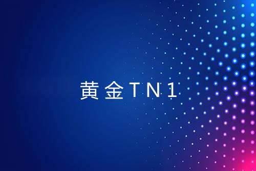 黄金TN1