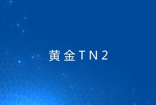 黄金TN2