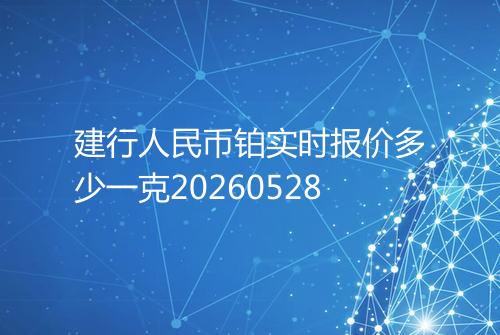 建行人民币铂实时报价多少一克20260528