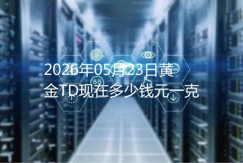 2026年05月23日黄金TD现在多少钱元一克