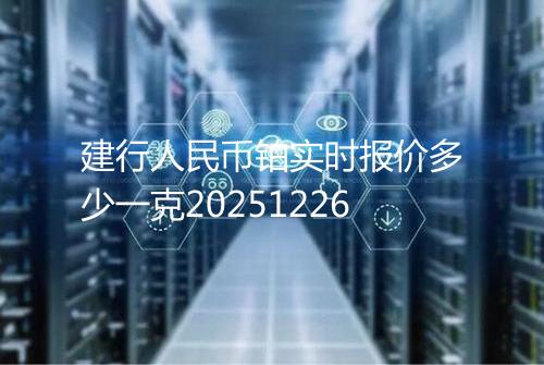 建行人民币铂实时报价多少一克20251226