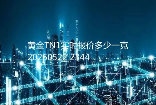 黄金TN1实时报价多少一克20260522 2344