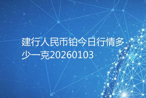 建行人民币铂今日行情多少一克20260103