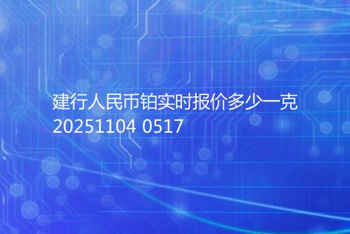 建行人民币铂实时报价多少一克20251104 0517