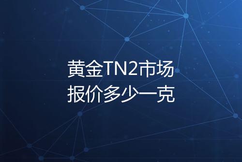 黄金TN2市场报价多少一克