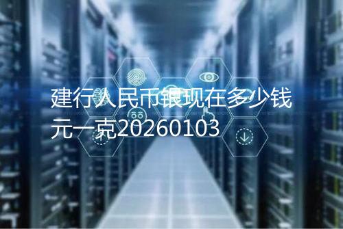 建行人民币银现在多少钱元一克20260103