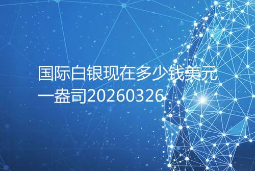 国际白银现在多少钱美元一盎司20260326