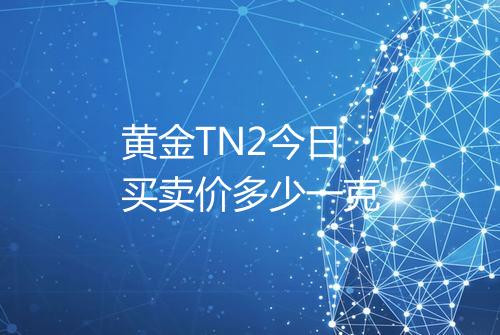 黄金TN2今日买卖价多少一克