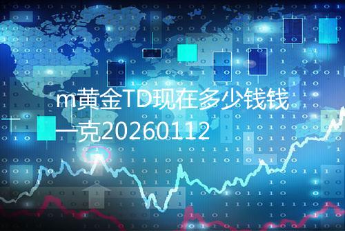 m黄金TD现在多少钱钱一克20260112
