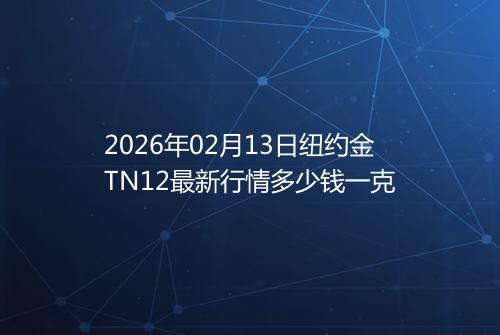 2026年02月13日纽约金TN12最新行情多少钱一克