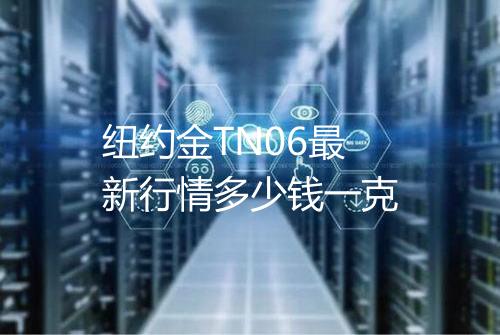 纽约金TN06最新行情多少钱一克