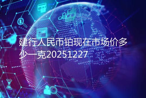 建行人民币铂现在市场价多少一克20251227