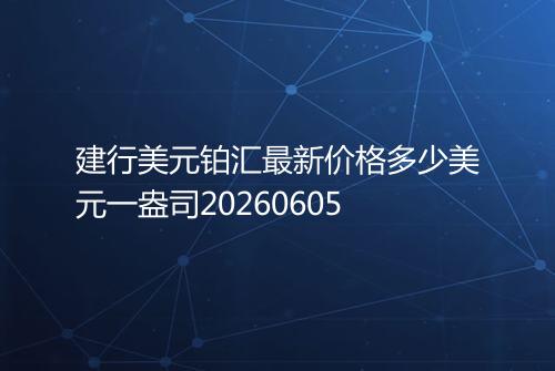 建行美元铂汇最新价格多少美元一盎司20260605