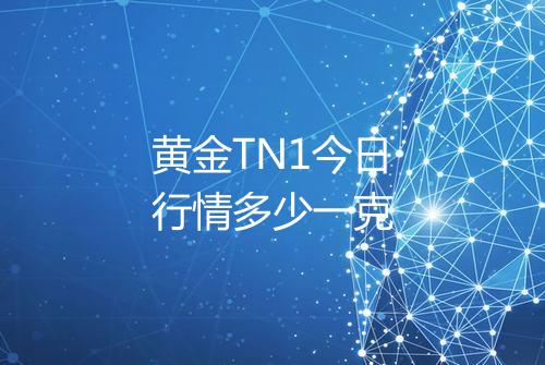 黄金TN1今日行情多少一克