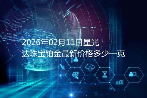 2026年02月11日星光达珠宝铂金最新价格多少一克