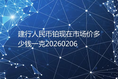 建行人民币铂现在市场价多少钱一克20260206