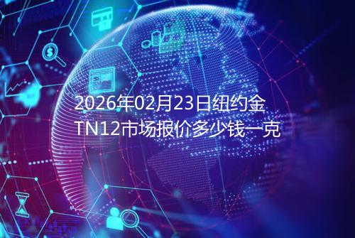 2026年02月23日纽约金TN12市场报价多少钱一克