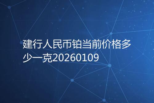 建行人民币铂当前价格多少一克20260109