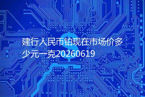 建行人民币铂现在市场价多少元一克20260619
