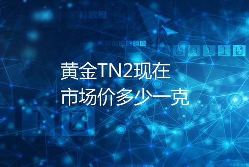 黄金TN2现在市场价多少一克