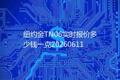 纽约金TN06实时报价多少钱一克20260611