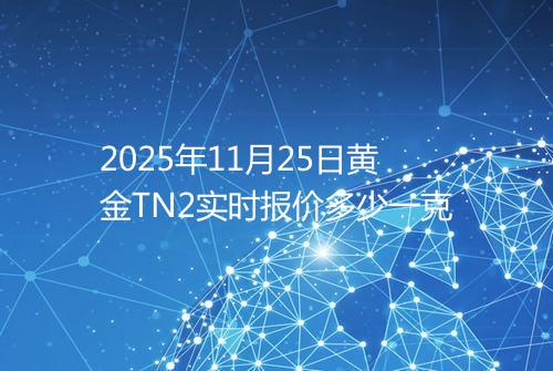 2025年11月25日黄金TN2实时报价多少一克