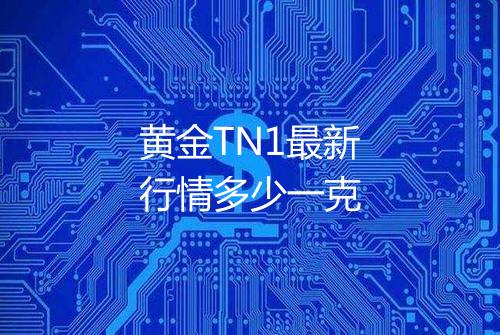 黄金TN1最新行情多少一克