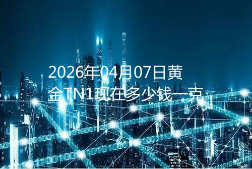 2026年04月07日黄金TN1现在多少钱一克