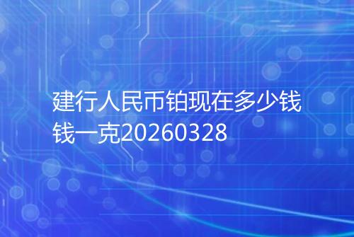 建行人民币铂现在多少钱钱一克20260328
