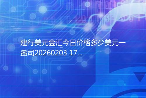 建行美元金汇今日价格多少美元一盎司20260203 1702