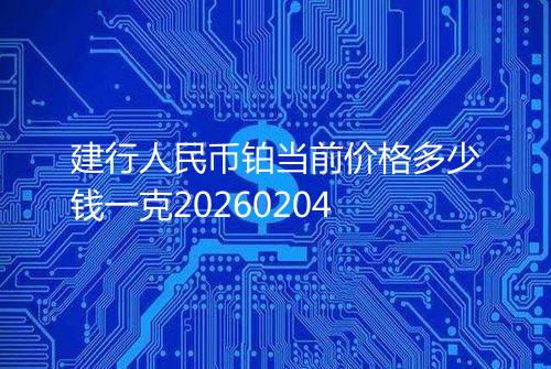 建行人民币铂当前价格多少钱一克20260204