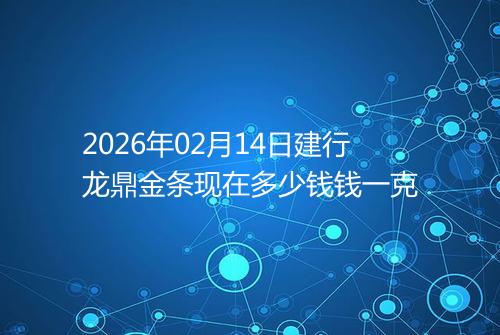 2026年02月14日建行龙鼎金条现在多少钱钱一克
