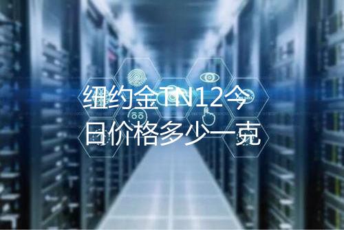 纽约金TN12今日价格多少一克