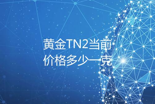 黄金TN2当前价格多少一克