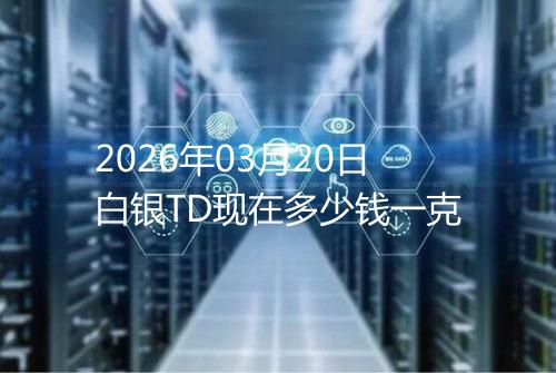 2026年03月20日白银TD现在多少钱一克