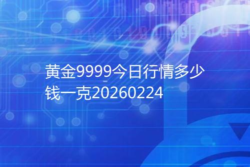 黄金9999今日行情多少钱一克20260224