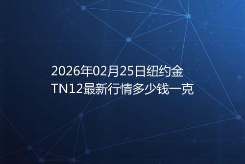 2026年02月25日纽约金TN12最新行情多少钱一克