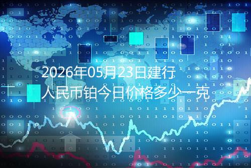2026年05月23日建行人民币铂今日价格多少一克