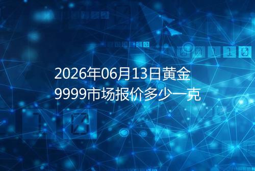 2026年06月13日黄金9999市场报价多少一克