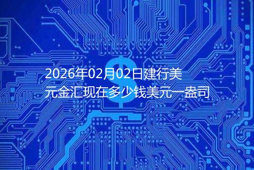 2026年02月02日建行美元金汇现在多少钱美元一盎司