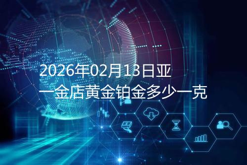 2026年02月13日亚一金店黄金铂金多少一克