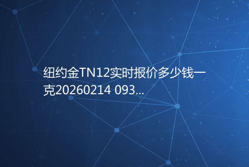 纽约金TN12实时报价多少钱一克20260214 0939
