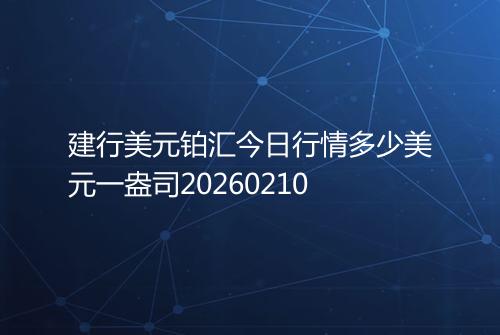 建行美元铂汇今日行情多少美元一盎司20260210