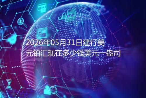 2026年05月31日建行美元铂汇现在多少钱美元一盎司