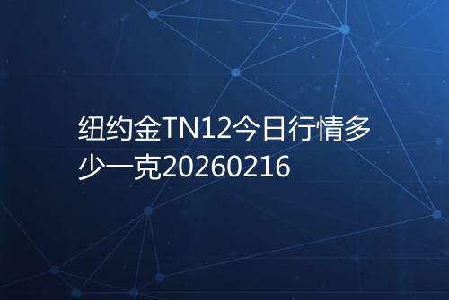纽约金TN12今日行情多少一克20260216