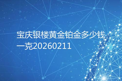 宝庆银楼黄金铂金多少钱一克20260211