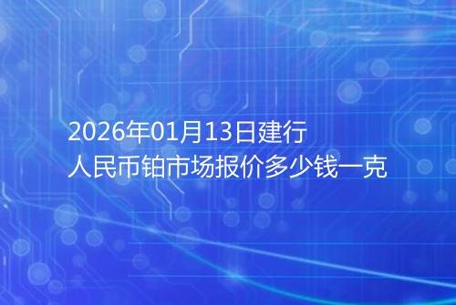 2026年01月13日建行人民币铂市场报价多少钱一克