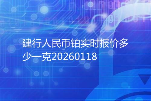 建行人民币铂实时报价多少一克20260118