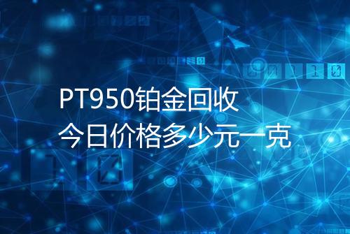PT950铂金回收今日价格多少元一克